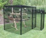 welded mesh bird aviary