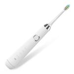 IPX7 38000 Strokes Automatic Rechargeable Sonic Electric Toothbrush Dupont