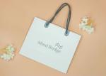Thick White Cardboard Shopping Bags With Grey Color Printing Eco Friendly