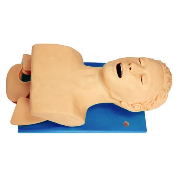 Intubation Training Electronic Airway Management Manikin