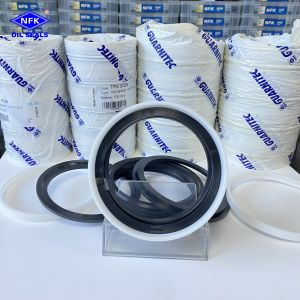 China TPM NBR Combination Oil Seal on sale