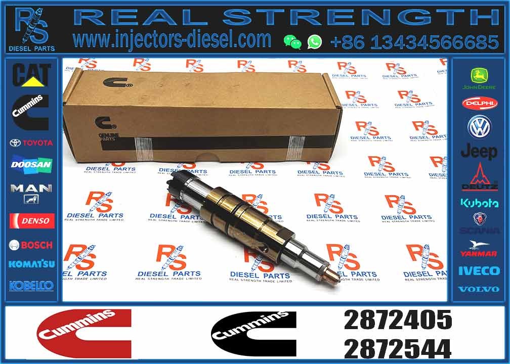 fuel injector 2872405 2894920 5579415