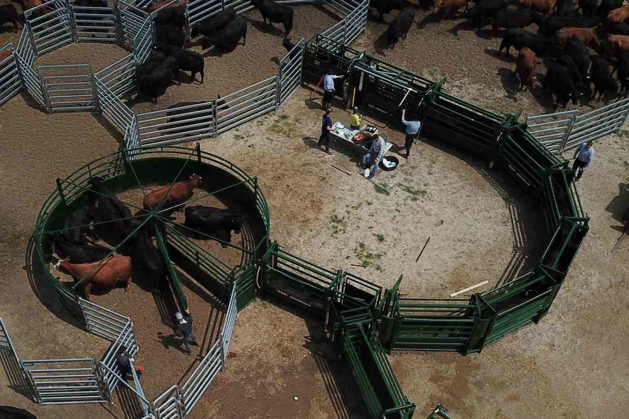 12 Ft Unique Cowboy Horse Cattle Corral Panels Flexible