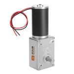 Faradyi Hot Sale 12V 24V High Torque Dual Shaft Customized Shaft Long Lifespan