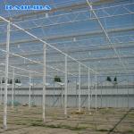 Multi Span Venlo Type Greenhouse / PC Polyethylene Film Greenhouse Sides