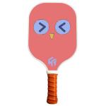 Professional Pickle Racket Made Directly by USAPA Manufacturers Length cm 40*19
