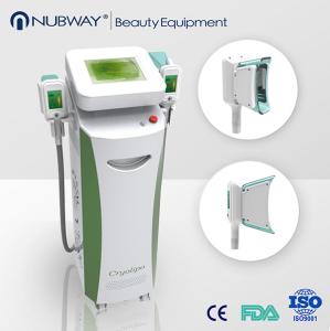 Wholesale Hot! vertical effective painless Double cryolipolysis /cryolipolysis slimming machine from china suppliers