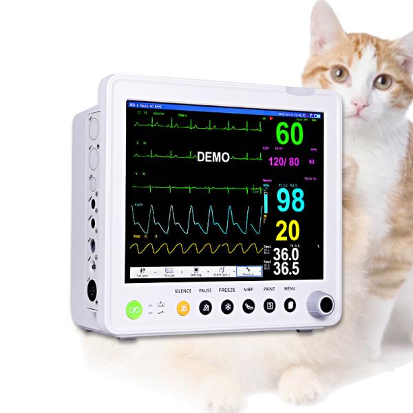 Multi Parameter Animals Veterinary Monitoring Equipment Vet Hospital Critical