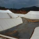 Non-Woven Geotextiles PP or PET Needle Punched Geotextile for Your Requirements