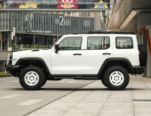 Wholesale New 2023 Tank300 2.0T City Model Knight Version Used Compact SUV 5 Door 5 Seats from china suppliers