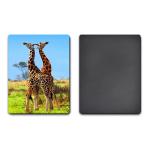 UV Offset Printing Lenticular 3D Fridge Magnets For Gift , Printed Fridge