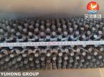 High Frequency Welding HFW Carbon Steel Studded Finned Tubes for Furnace High