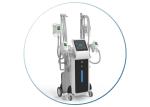 3 years warranty cool-shaping body slimming cryolipolysis machine korea