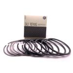High quality 3116 Piston ring for Caterpillar Engine spare parts 7E5213 107-7787
