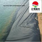 Green 0.3mm 0.5mm 0.75mm 1.0mm HDPE Geomembrane for Direct Supply Aquaculture