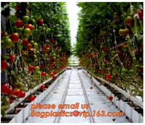 Wholesale Film Covering Tomato Planting Greenhouse,Tomato Greenhouse film, Plastic Polyethylene sheet 6 mil 4 year UV Resistant cr from china suppliers