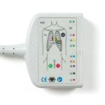 Compatible Fukuda Denshi 10Lead EKG Cable for CardiMax FX-7202, CardiMax FX-7402