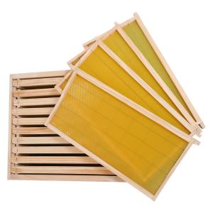Wholesale 20mm Thickness Plastic Frame Complete Bee Hive Kit With Foundation from china suppliers