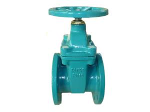 Wholesale (DIN) Cast Iron Resilient Gate Valve nor-rising stem from china suppliers
