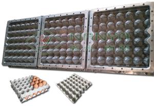 Wholesale High Precision Pulp Moulding Dies / 30 Holes Egg Tray Pulp Mould from china suppliers