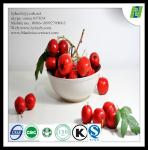 hawthorne leaf p.e supplier