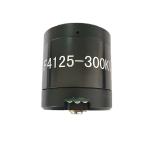 Customized Waterproof Electric Motor Brushless 24V 12V 300W With Hub Motor Brake