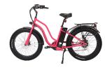 26Inch 48V 500W Long Range Ebike Shimano Tektro Disc Brake System