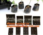 vegetables, fruits, seeds, bedding plants, tomatoes, peppers, cucumbers, tree
