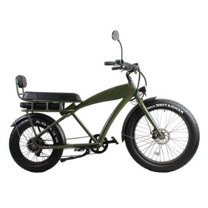 Wholesale Electric Dirt Bike for 2 Riders 48V 13Ah City Cruising Fat Tire Beach Cruiser e Bike from china suppliers