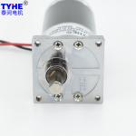 Eccentric Shaft DC Spur Gear Motor 18V 24V Reducer Brushless Motor