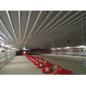Automatic Steel Structure Peb Customized Poultry Chicken Farming Shed