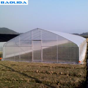 China Customized Tunnel Cover Reinforced Clear Greenhouse Plastic Sheeting on sale