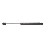 Hood Lift Support / Automotive Gas Springs for Dodge Ram 1500 2500 3500 02-10