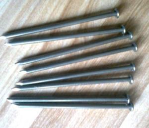 Wholesale 1'' common nails from china suppliers