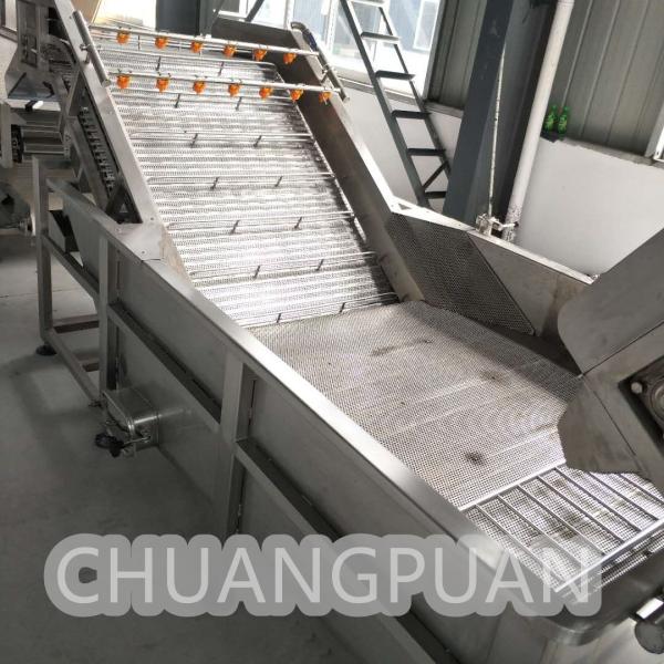 1-20T/H Fruit Pulper Automatic Stainless Steel Chain Plate Bubble Washing
