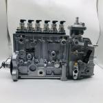 Fuel Injector Pump 3926881 3991485 3926887 3938372 6CT8.3 QSC8.3 For Excavator