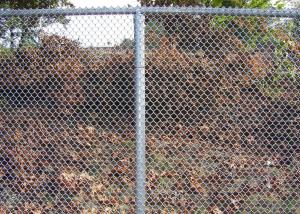 Wholesale 6ft Galvanized 11.5ga Steel Chain Link Fencing Diamond Wire Mesh from china suppliers