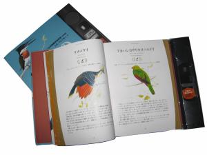 Wholesale 200pp Custom Book Offset Printing Services Hardcover Magazine Catalogue Matte Lamination from china suppliers