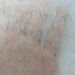 Gaoxin Polyester/Viscose Chemical Bond Nonwoven Fabric for Garment Interlining