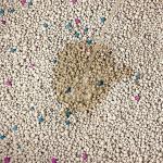 Factory Direct Sale Super Clean Hard Clumping Bentonite Cat Litter Dust Free