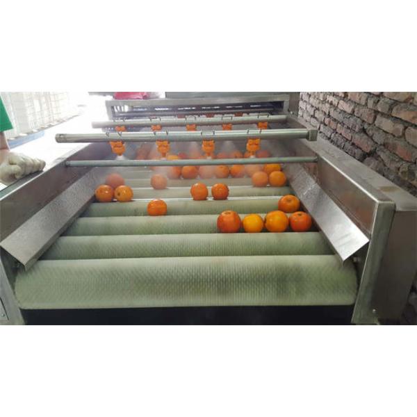 Fully Automatic Wave Type Food Cleaning Machine For Fruit And Vegetable Cleaning