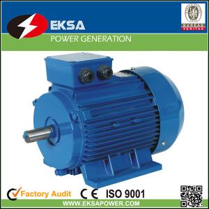 Wholesale Y2 series 3 three phase 2 pole asynchronous electric motor Y2-180M-2, rotational motors from china suppliers