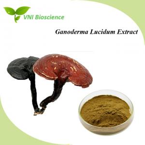 China OEM Mushroom Supplement Powder Natural Ganoderma Lucidum Extract Powder on sale