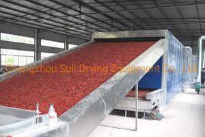Wholesale Multistage Jasmine Mesh Belt Dryer Machine 0.2MPa-0.8MPa Belt Drying Equipment from china suppliers