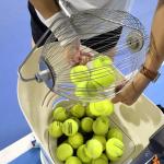 Tennis Ball Picker Table Tennis Ball Golf Ball Collector Walnut Pecans Nut