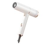 Multifunctional Salon Professional Folding Travel Hair Dryer With Worldwide