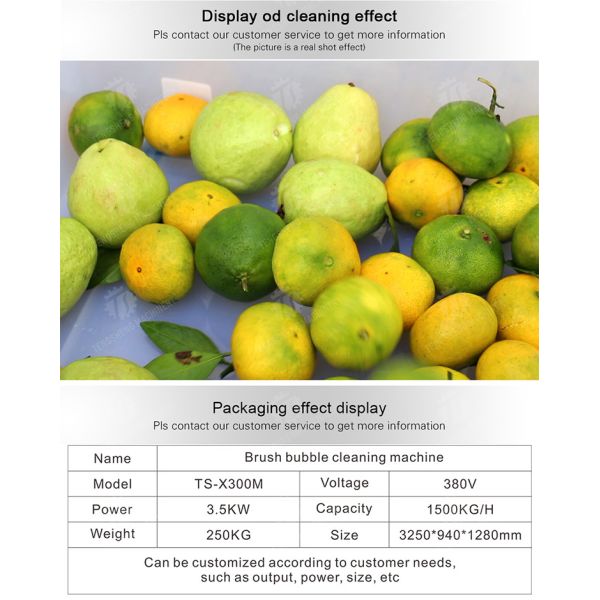 250KG Fruit and vegetable washing machine automatic sterilization washing machine fruit and vegetable processing