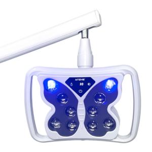 Wholesale 2 in 1 Function Dental Chair LED Operation Light Blue Light Teeth Whitening Function Mouth Lamp Dental Surgery Light from china suppliers