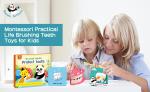 ASTM Brushing Teeth Model For Homeschool Learning