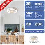 Remote Control 20 Inch Bladeless Ceiling Fan With LED Light